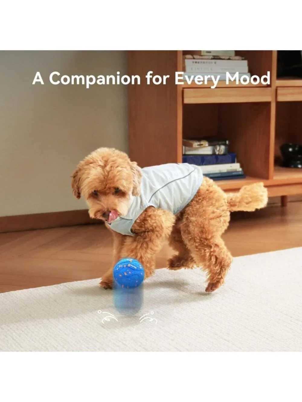 Interactive Bouncing Dog Toy for Medium & Large Dogs | Waterproof & Auto-Moving